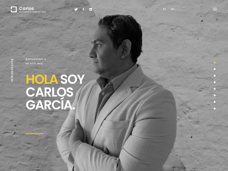 carlos-agm.com